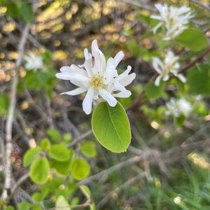 Meet your Posher, Adriana